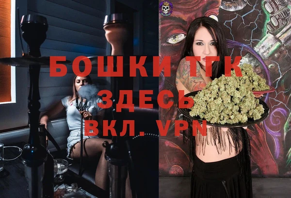 прущие грибы Пестово