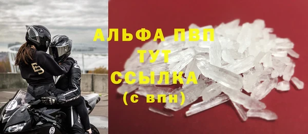 прущие грибы Пестово
