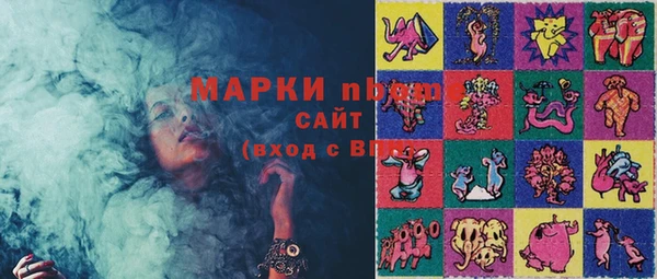прущие грибы Пестово