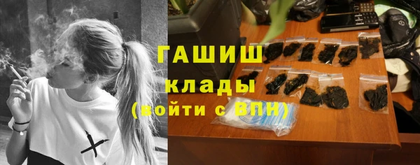 прущие грибы Пестово
