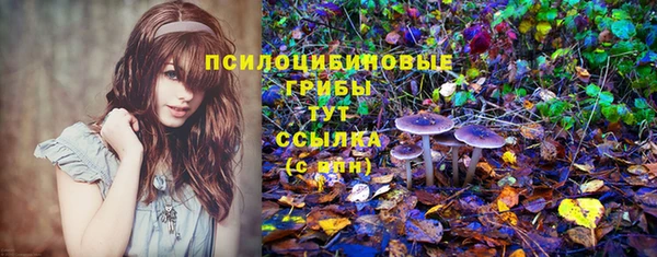 мяу мяу мука Заволжск