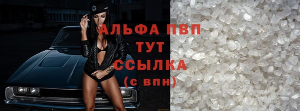 прущие грибы Пестово