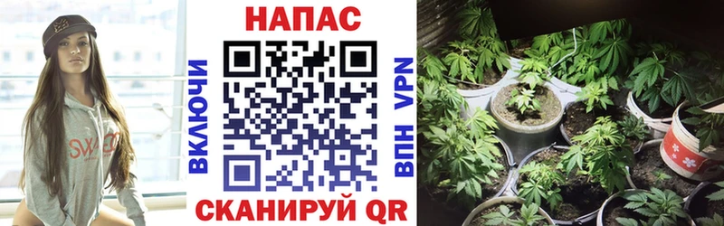 МАРИХУАНА гибрид  blacksprut рабочий сайт  Саяногорск 