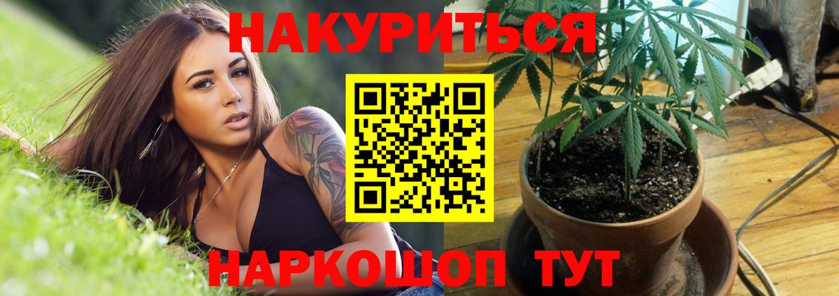 Бошки Шишки AK-47  МАРИХУАНА конопля  Вход с VPN  Саяногорск 